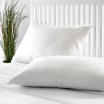 Oreiller 90x40cm en duvet 50 % peu ferme