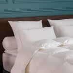 Oreiller medium toucher duvet 60x60 cm