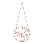 Oriole mangeoire a oiseaux pour l'ext�rieur, mangeoire a gel�e et a oranges, mangeoire a fruits orange ...