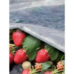 Ortoclima tessuto non tessuto per orto e giardino mt2, 0x20 17gr / mq tenax