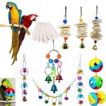 Os de seiche en forme de cloche suspendue, perruche, calopsitte, poisson, oiseau, nourriture, jouet pour ... Os de seiche en forme de cloche suspendue, perruche, calopsitte, poisson, oiseau, nourriture, jouet pour ...