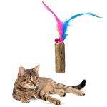 Outgeek ? bton en bois naturel pour chat, jouet en forme de plume, bton en bois, herbe aux chats, nettoyage ...