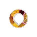 Pack de dosettes de brindisi pour bouteille d'eau aromatise, accessoires s tarter