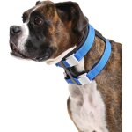 Pack leader collar collier de dressage du chien whisperer taille m bleu Pack leader collar collier de dressage du chien whisperer taille m bleu