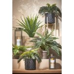Palmier cycas plante artificielle en pot h33