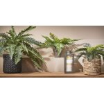 Palmier cycas plante artificielle en pot h37