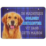 Pancarte un magnifique golden retriever vit dans cette maison