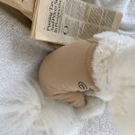Pantalon slim a quatre pattes pour animaux de compagnie, teddy, yorkshire, ours, fn, pantalon a bretelles ...