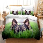 Parure lit personne fille + x taies d'oreiller xcm microfibre housse de couette pas cher doux confortable ...