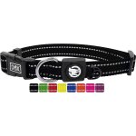 Pata - collier chien nylon, rflchissante, rglable nombreuses couleurs & tailles pour petit, moyen ...