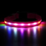 Pata - collier lumineux pour chien u2013 collier led rechargeable et etanche par usb avec 4 modes clignotants ...