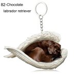 Pendentif ange endormi pour chien et chat, porte - cls pour animaux de compagnie, porte - cls pour ...