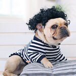 Perruque pour chien, bonnet de cosplay, pour petit chiot, chat, jolie fille, boucle de tte, chapeau, ...
