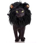 Perruque pour chien et chat, d�guisement pour animal de compagnie, coiffure en poils de lion pour petit ...