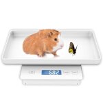 Pse - personne multifonction pour nouveau - n, prcision  0, 035 oz, maximum 15 kg, convient aux animaux ...