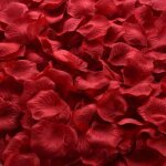 Ptales de fleurs colors en soie, 1000 / 3000 pices, pour dcoration de mariage, feuilles de rose de ...