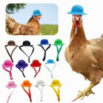 Petit chapeau en feutre pour animaux de compagnie, cratif, protection solaire, jouet de fte, canard, ...