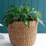 Petit panier en osier adelphine