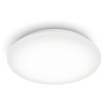 Philips fonctionnel plafonnier moire 10 w
