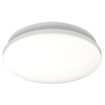 Philips plafonnier 12 w