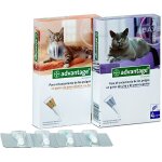 Pipette anti - puces advantage pour chats chats de plus de 4kg