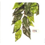 Plante en soie ficus exo terra, pour terrariums s - pt 3030 - 45 x 20 cm