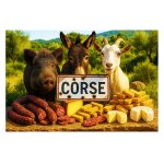 Plaque m�tal corse produits du terroir