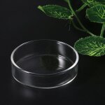Plat rond en verre transparent pour aliments pour crevettes, bol d'alimentation pour petits poissons, ...