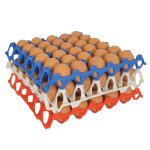Plateau oeufs plastique empilable 30x30 cm alimentaire unit� ou lot de 10