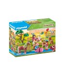 Playmobil 70997 - dcoration fte poneys
