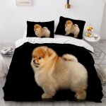 Pom��ranien housse de couette x imprim�� d chien parure de lit personnes ado fille enfants microfibre ...