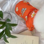 Poncho de pluie impermable pour animaux de compagnie, chemise a boutons ouverts, vtements d't, chiot, ...