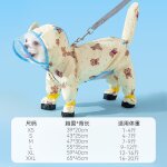 Poncho de pluie impermable pour animaux de compagnie, vtements mignons, imprim complet, ours a quatre ...