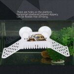 Pont pour reptiles amphibies, plate - forme de schage, assemblage de bricolage avec arbre amp grimpant, ...