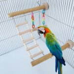 Porte - perche en bois pour oiseaux, echelle pour perroquets, cage a oiseaux, aire de jeux pour perruches, ...