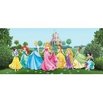 Poster g�ant ch�teau et princesses disney intisse 202x90 cm - enfants