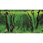 Poster prdcoup canyon , woodland 60x30 cm, s. s.
