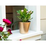 Pot de fleurs dor� dior 2, 5 lt