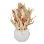 Pot gres fleurs naturelles sechees 25x10cm