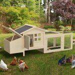 Poulailler en bois 2 poules avec enclos et pondoir sur pilotis