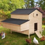 Poulailler chalet 15 - 18 poules avec pondoir en bois Poulailler chalet 15 - 18 poules avec pondoir en bois