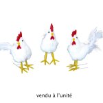 Poule blanche polystyrene feutrine plume 11cm