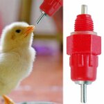 Poulet fontaine a boire automatique poulet a billes en acier avec fontaine a boire pour attraper les ... Poulet fontaine a boire automatique poulet a billes en acier avec fontaine a boire pour attraper les ...