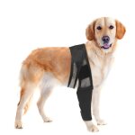 Protecteur de cuisse pour chien, ?m? genouill�res pour faiblesse de la jambe, protection contre les blessures ...
