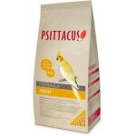 Psittacus, je pense que mini, 0, 450 gr