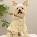 Pull a capuche chaud pour petits chiens, v�tements d'hiver pour animaux de compagnie, manteau fn anian ...