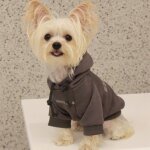 Pull a capuche chaud pour petits chiens, vêtements d'hiver pour animaux de compagnie, manteau fn anian ... Pull a capuche chaud pour petits chiens, vêtements d'hiver pour animaux de compagnie, manteau fn anian ...