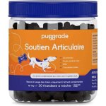 Pupgrade soutien articulaire chiens - glucosamine chondrotine msm & moules vertes - soulage douleurs ...