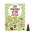 Pyramides d'encens d'�t� - anti - moustiques 10 pyramides et 1 porte - encens - les encens du monde