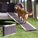 Rampe pour chien voiture, suv - stable - antidrapante - capacit 90kg - design compact - rampe tlescopique ...
